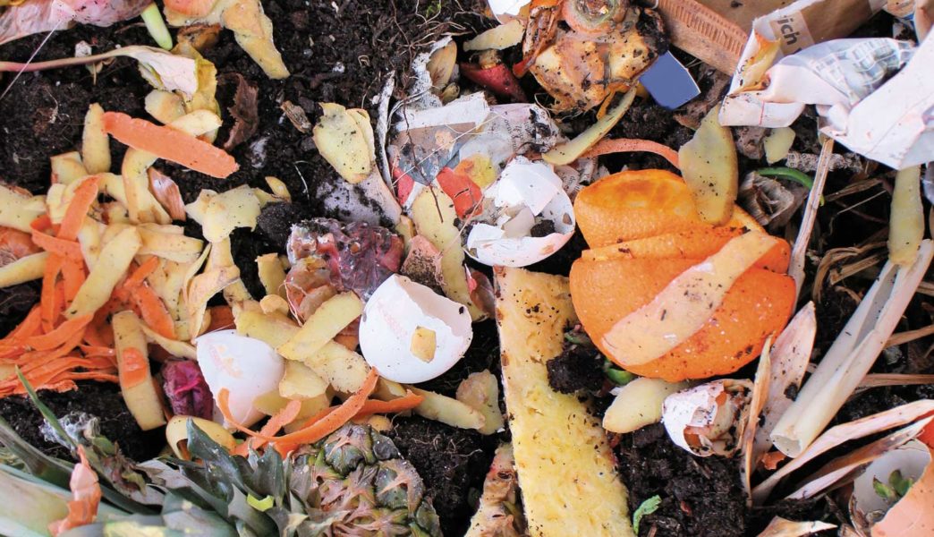 Food Waste On Campus: Small Scale Solutions to a Large Scale Problem